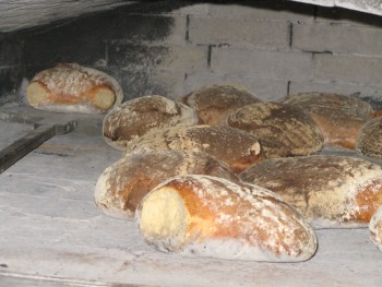 Brote im Ofen