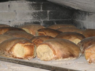 Brot in Backofen