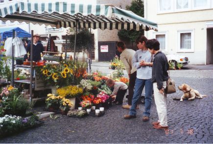 markt in hildesheim